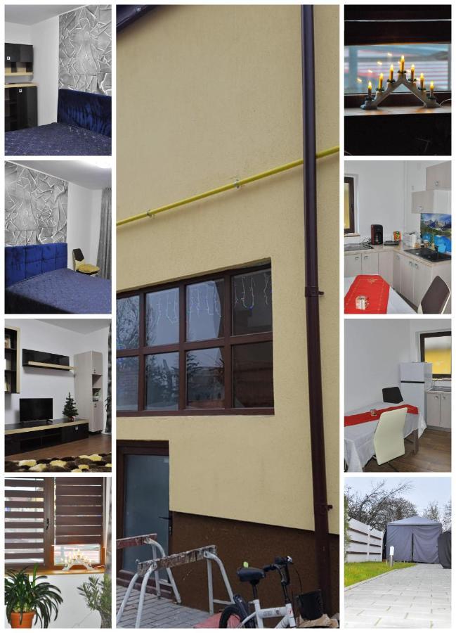 Casa Andrei Hotel Brasov Bagian luar foto
