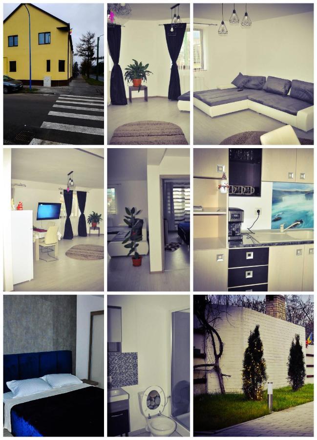 Casa Andrei Hotel Brasov Bagian luar foto